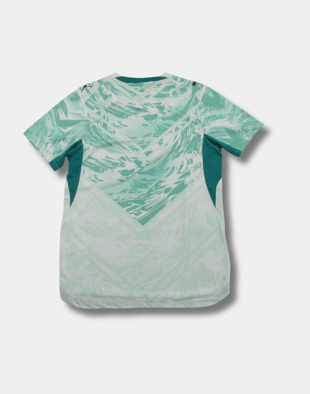 Portugal "Frosted Tide" World Cup Special Kit