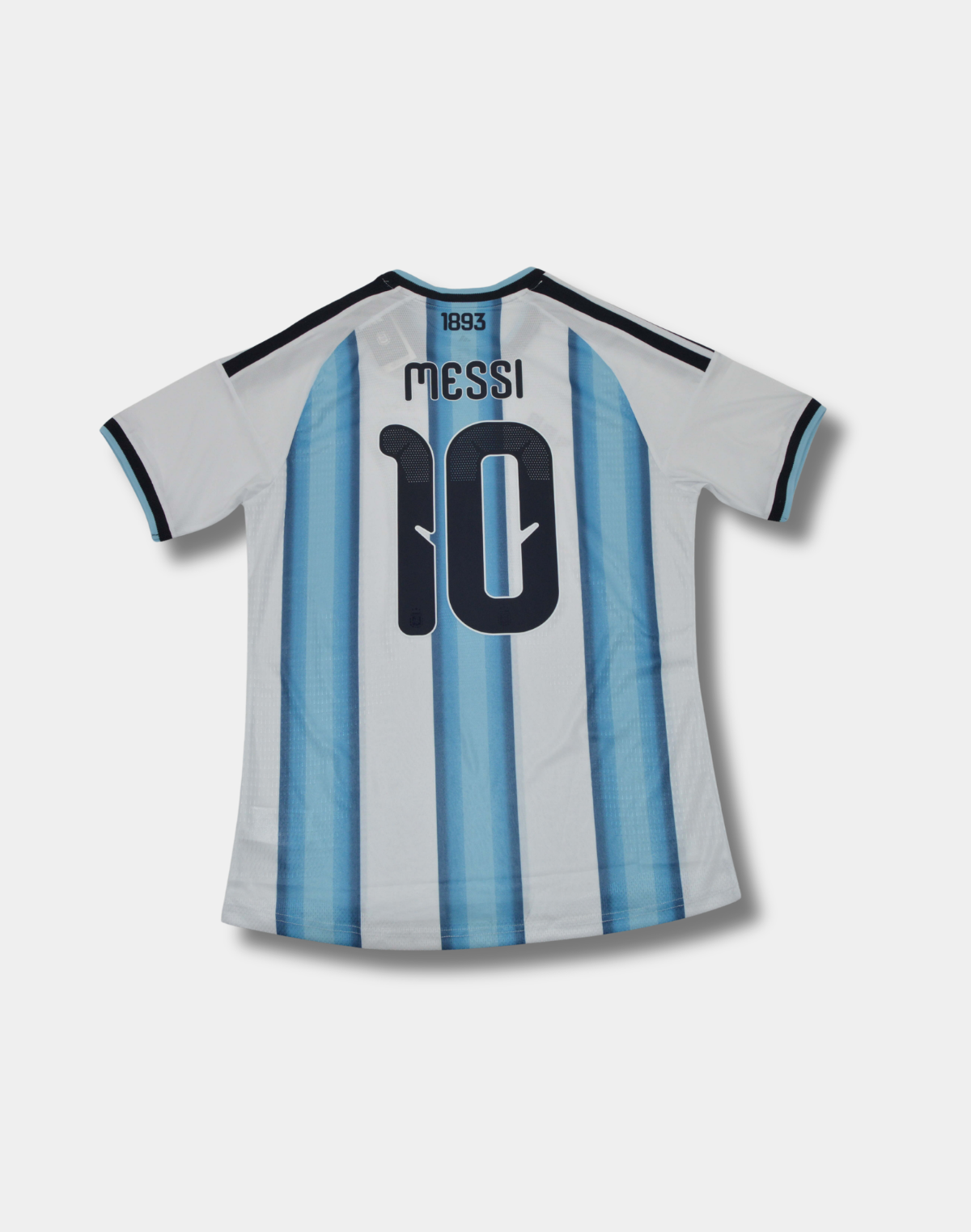 Argentina "Ice Weaver" World Cup Special Kit