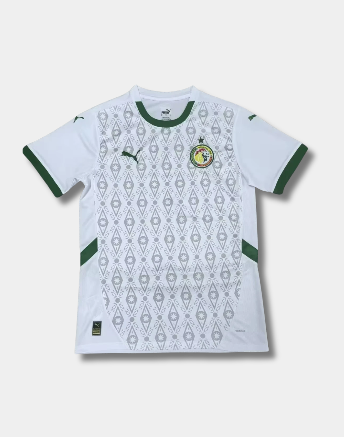 Senegal "Prismatic Lion" World Cup Special Kit