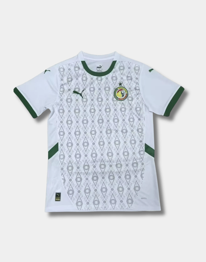 Senegal "Prismatic Lion" World Cup Special Kit