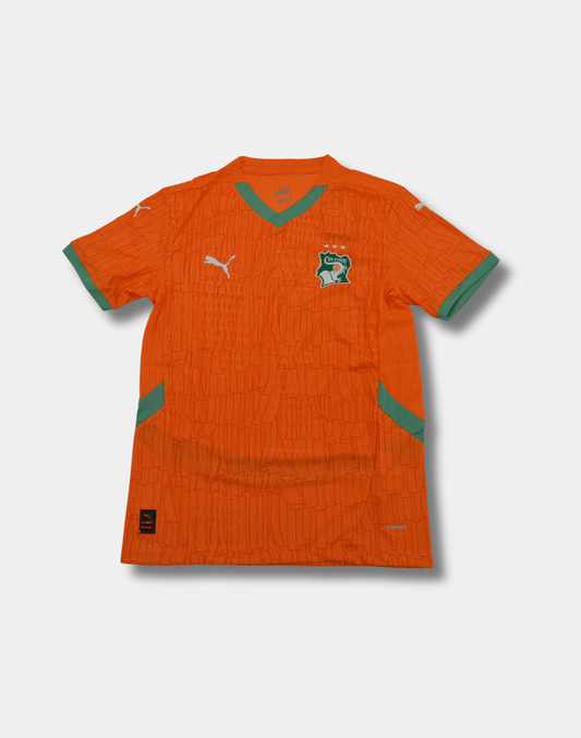 Ivory Coast World Cup Home Kit